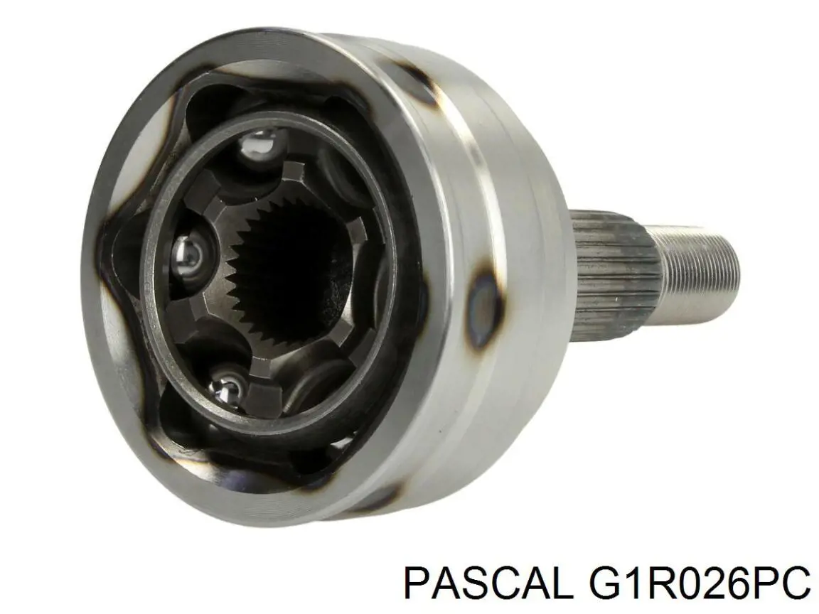 G1R026PC Pascal шрус зовнішній передній