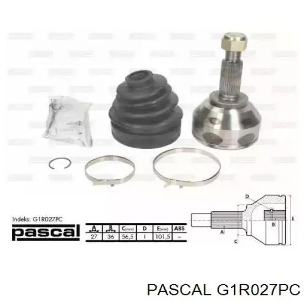 G1R027PC Pascal шрус зовнішній передній