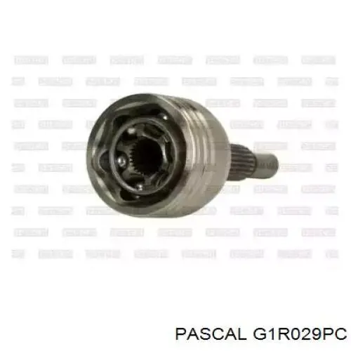 G1R029PC Pascal шрус зовнішній передній