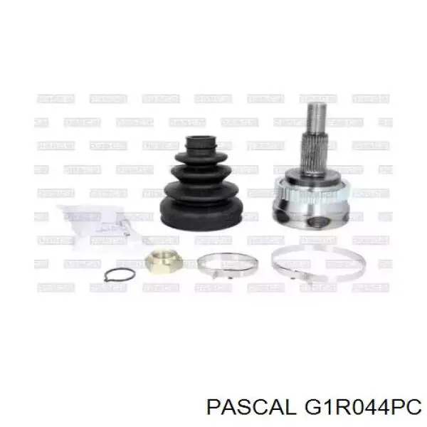 G1R044PC Pascal 