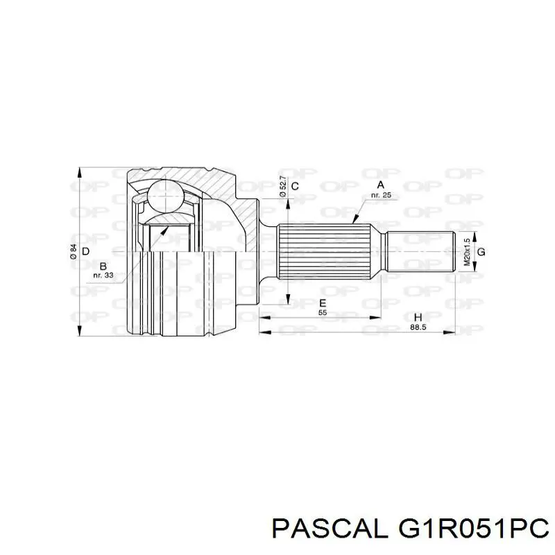 Купити G1R051PC Pascal Шарнір приводу зовнішній