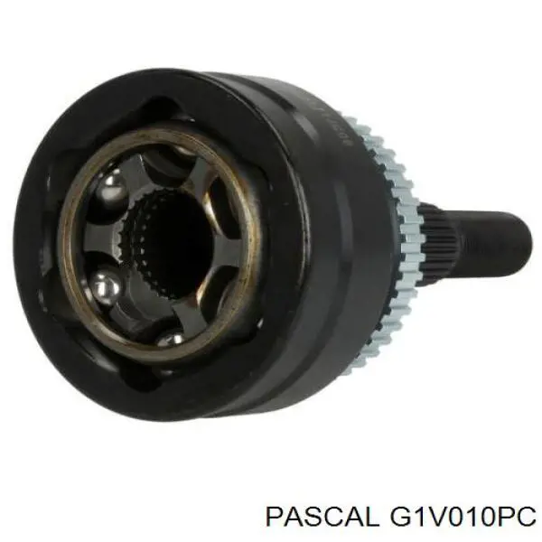 G1V010PC Pascal шрус зовнішній передній