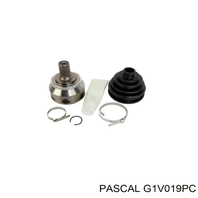 G1V019PC Pascal шрус зовнішній передній