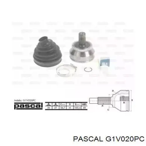 Купити G1V020PC Pascal Шарнір приводу зовнішній