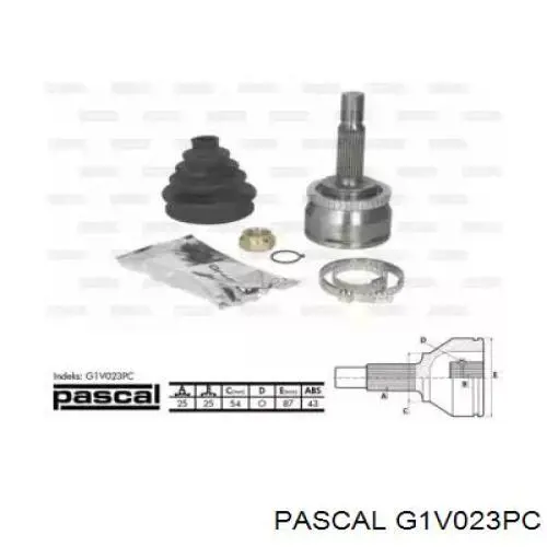 G1V023PC Pascal шрус зовнішній передній