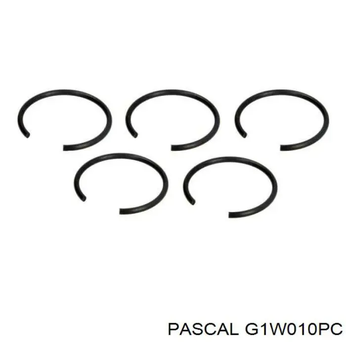 Купити G1W010PC Pascal Шарнір приводу зовнішній