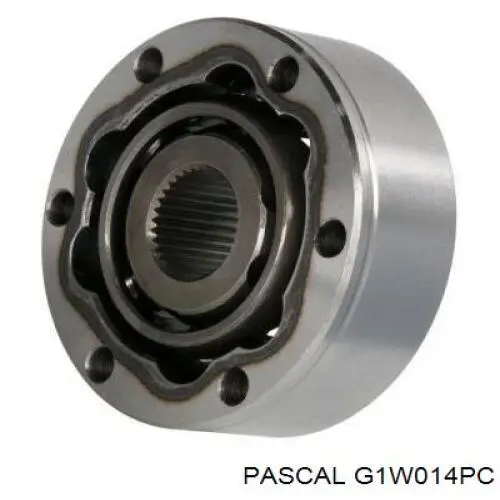 G1W014PC Pascal шрус внутрішній, передній
