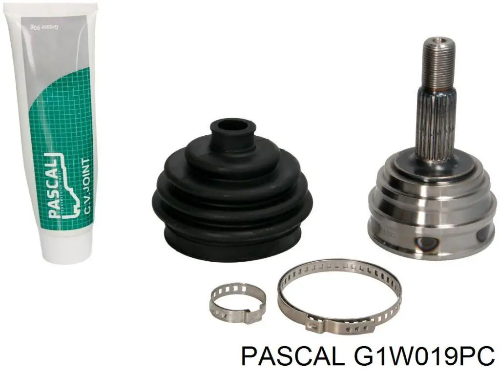 G1W019PC Pascal шрус зовнішній передній