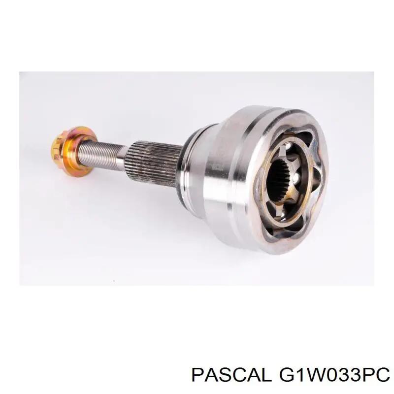 G1W033PC Pascal шрус зовнішній передній