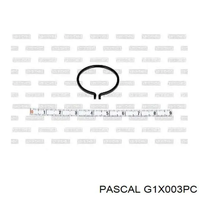 Купити G1X003PC Pascal Шарнір приводу зовнішній