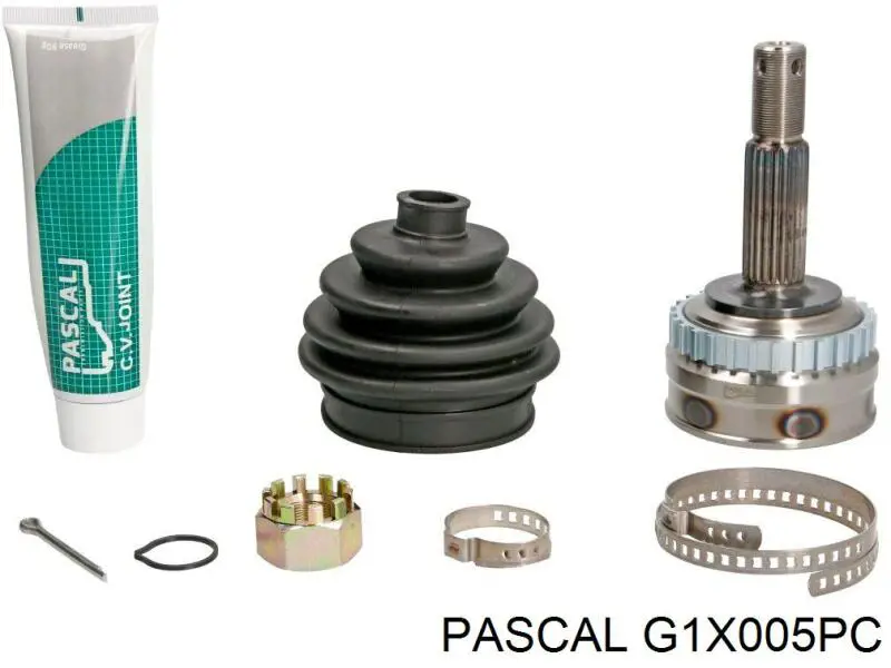 G1X005PC Pascal шрус зовнішній передній