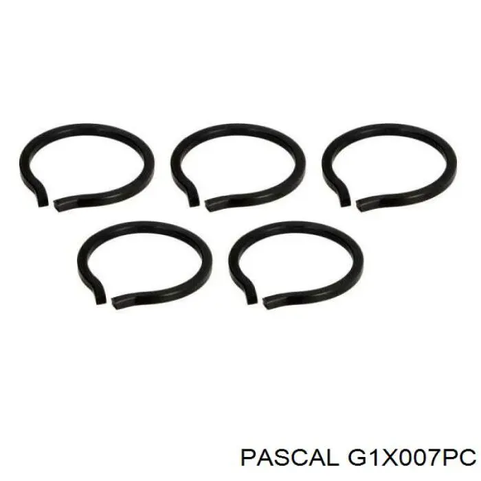 Купити G1X007PC Pascal Шарнір приводу зовнішній