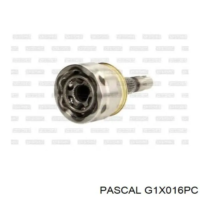 G1X016PC Pascal шрус внутрішній, задній