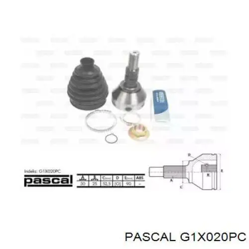 G1X020PC Pascal шрус зовнішній передній