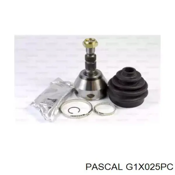 G1X025PC Pascal шрус зовнішній передній