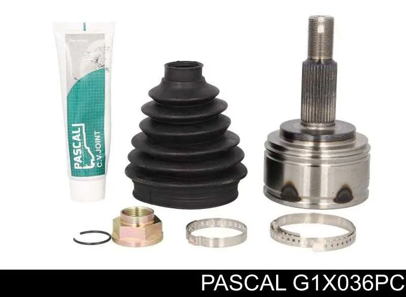 Купити G1X036PC Pascal Шарнір приводу зовнішній