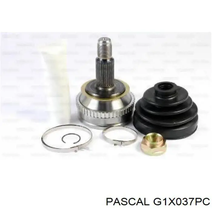 G1X037PC Pascal Граната зовнішня