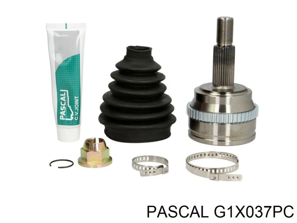 G1X037PC Pascal шрус зовнішній передній