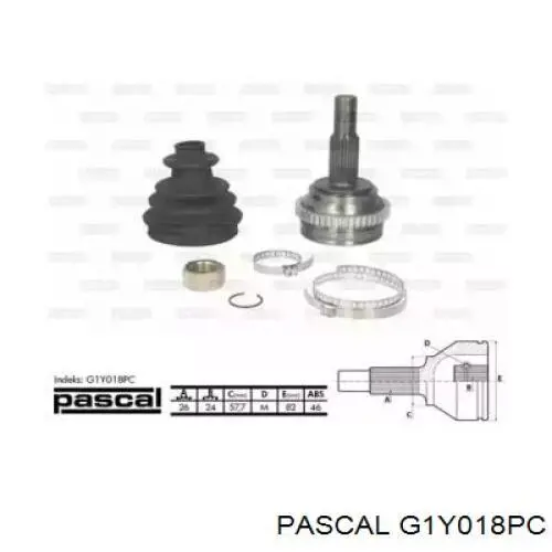  G1Y018PC Pascal