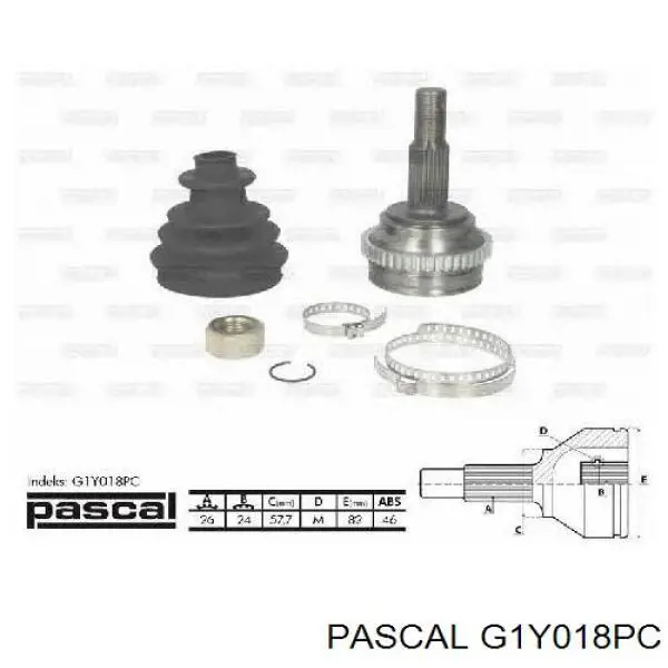 Купити G1Y018PC Pascal 