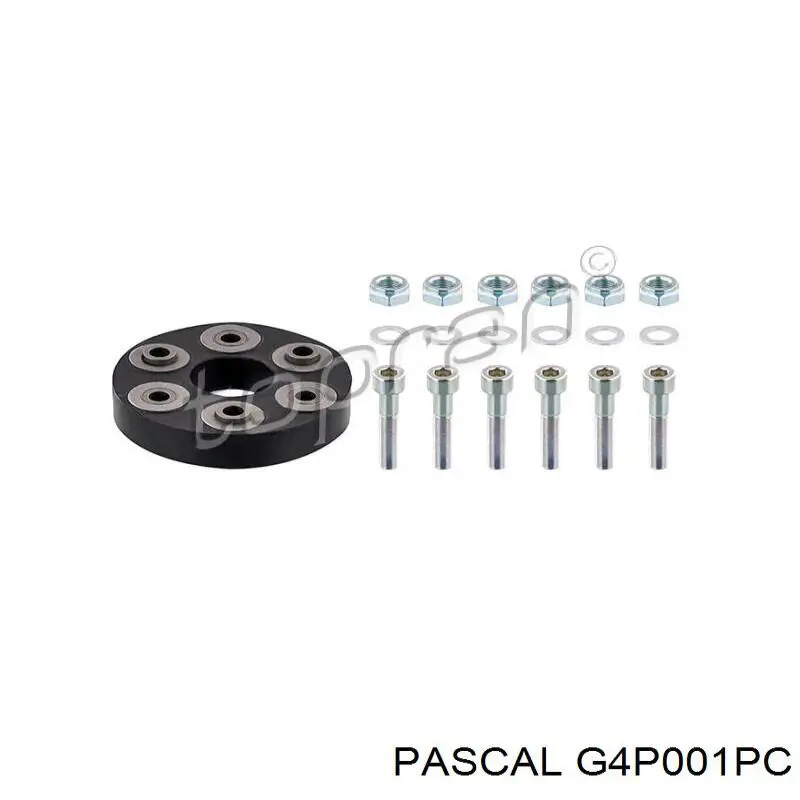Купити G4P001PC Pascal ШРУС внутрішній, тришиб/трипод/тріпоід