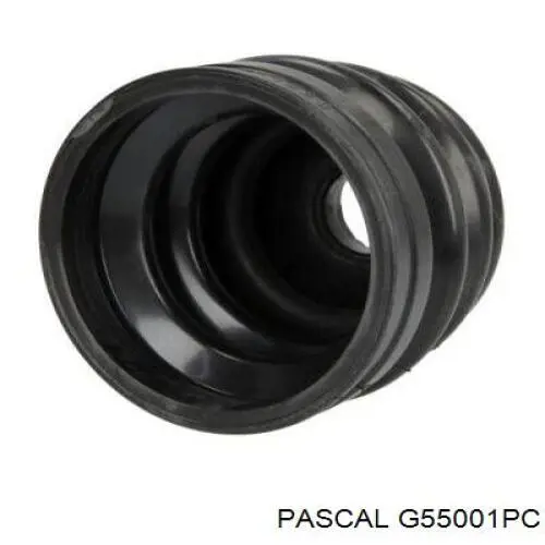 G55001PC Pascal пильник шруса зовнішній, передній піввісі