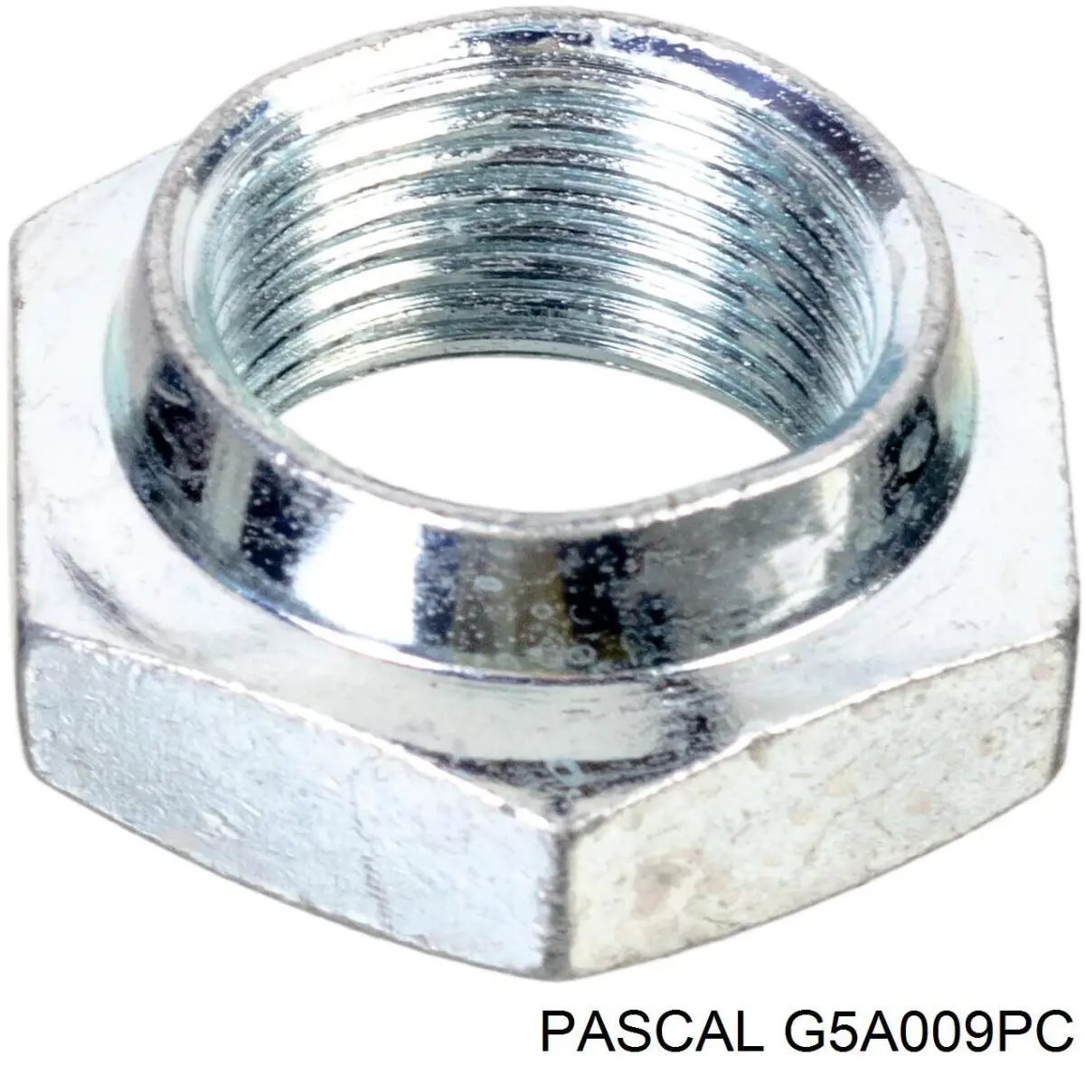 Купити G5A009PC Pascal Пильник шарніра приводу