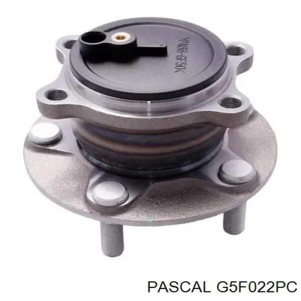 G5F022PC Pascal пильник шруса зовнішній, передній піввісі