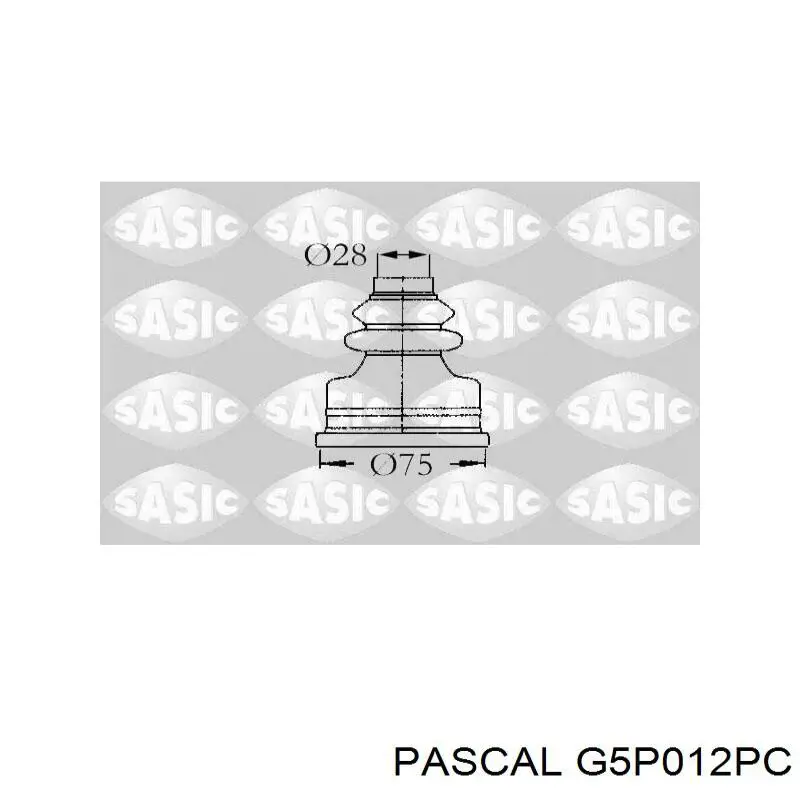 G5P012PC Pascal пильник шруса зовнішній, передній піввісі