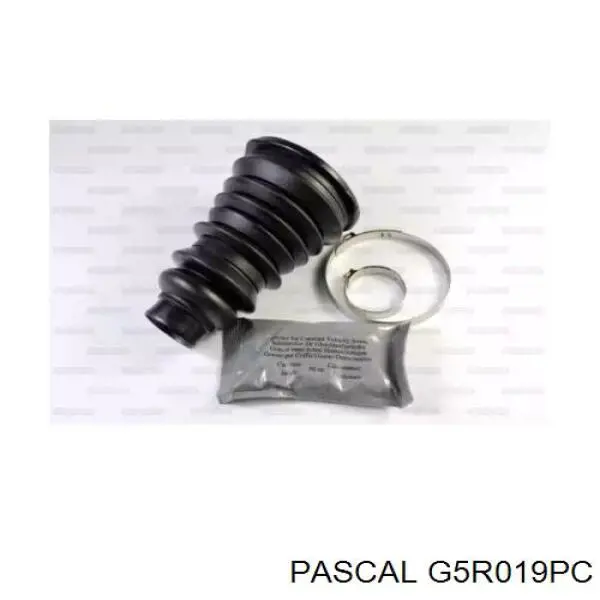 G5R019PC Pascal пильник шруса зовнішній, передній піввісі