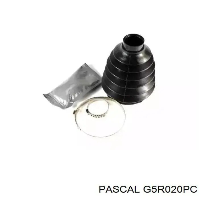 G5R020PC Pascal пильник шруса зовнішній, передній піввісі