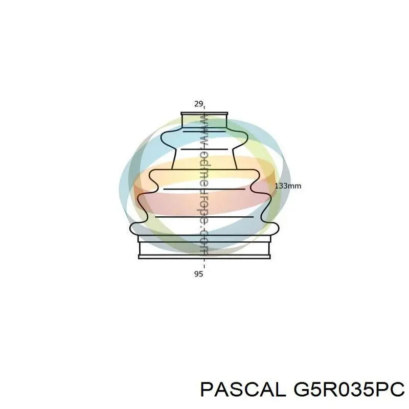 G5R035PC Pascal Пильник ШРУСа зовнішній, передній піввісі