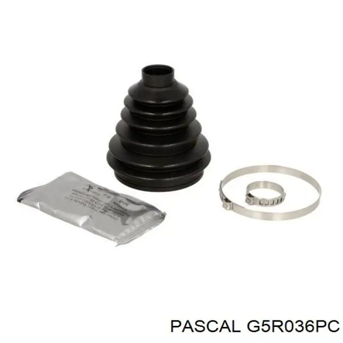 G5R036PC Pascal пильник шруса зовнішній, правий