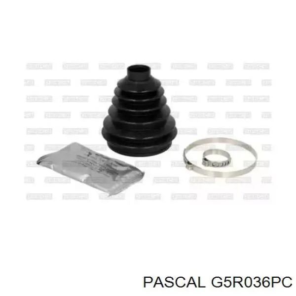 Купити G5R036PC Pascal Пильник шарніра кутових швидкостей зовнішній правий