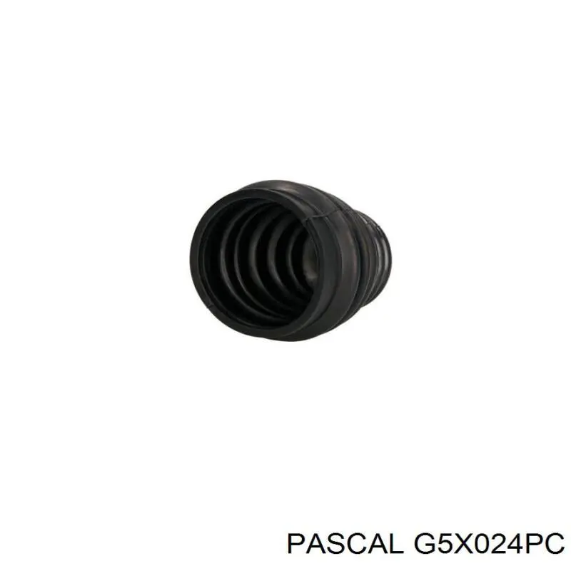 G5X024PC Pascal пильник шруса зовнішній, передній піввісі