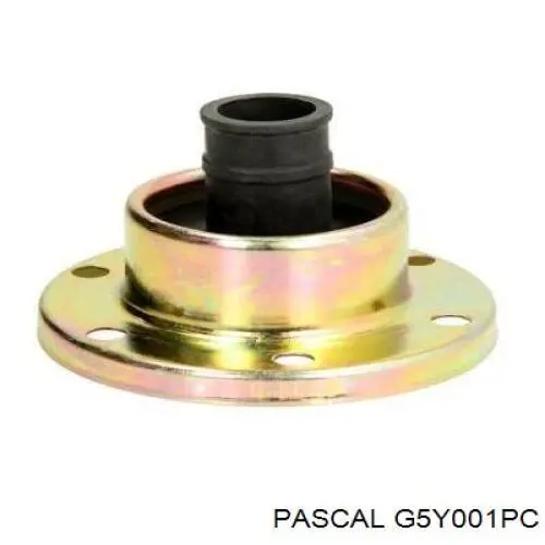 Купити G5Y001PC Pascal 