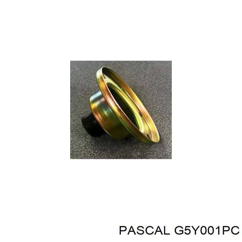  Pascal G5Y001PC ціна, від 11.48 USD