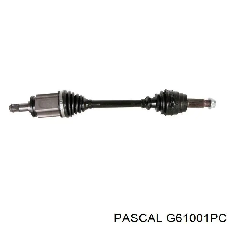 G61001PC Pascal Пильник ШРКШ внутрішній, передній півосі