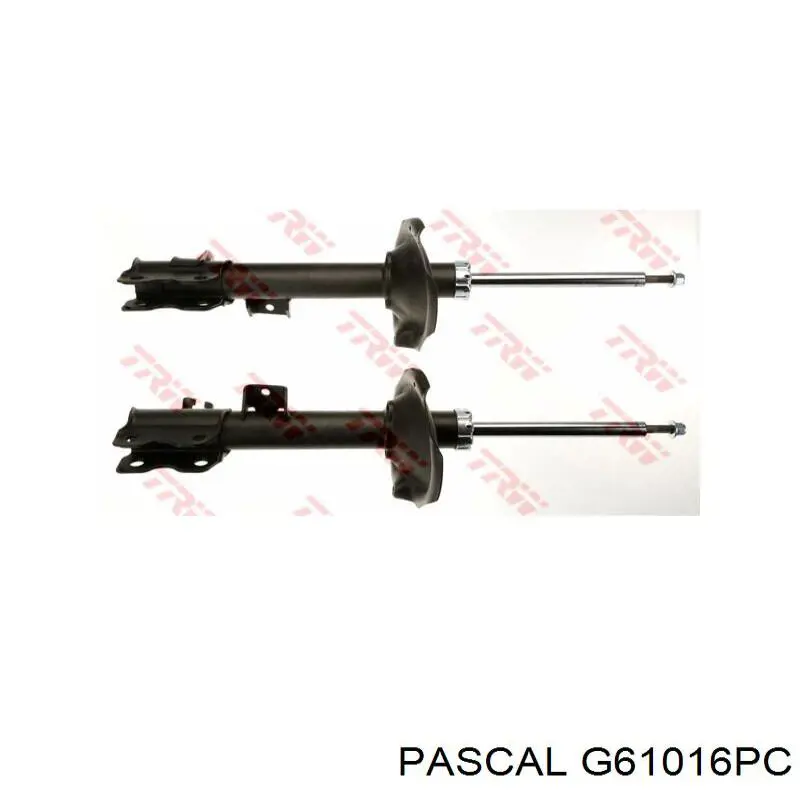Купити G61016PC Pascal Пильник шарніра кутових швидкостей внутрішній передній
