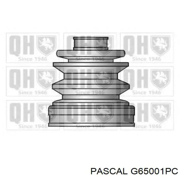 Купити G65001PC Pascal Пильник шарніра кутових швидкостей внутрішній передній