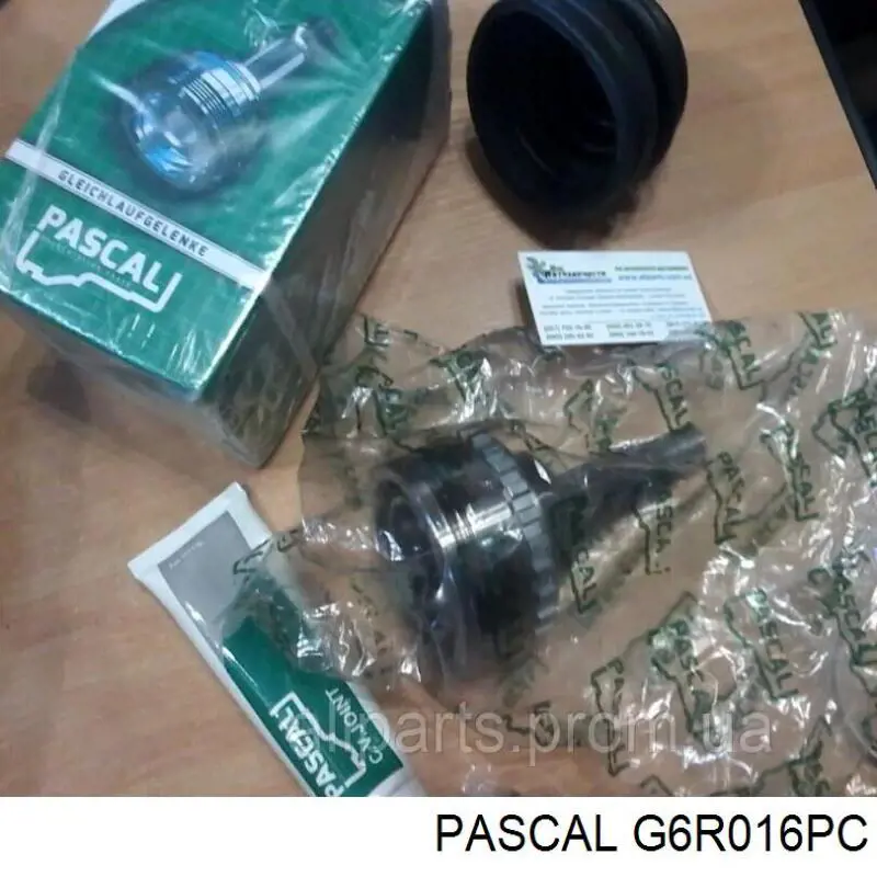  Pascal G6R016PC ціна, від 15.99 USD