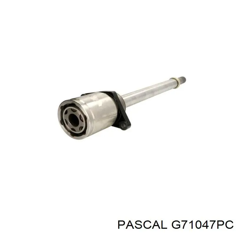 Шарнір кутових швидкостей передній лівий Pascal G71047PC ціна, від 45.50 USD
