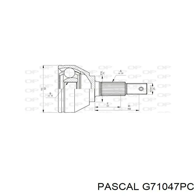 Купити G71047PC Pascal Граната внутрішня, передня, ліва