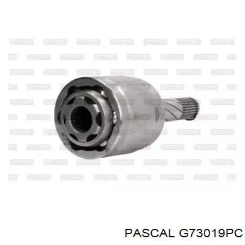  Pascal G73019PC ціна, від 43.37 USD