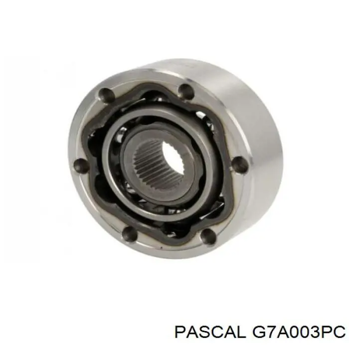 G7A003PC Pascal шрус внутрішній, передній