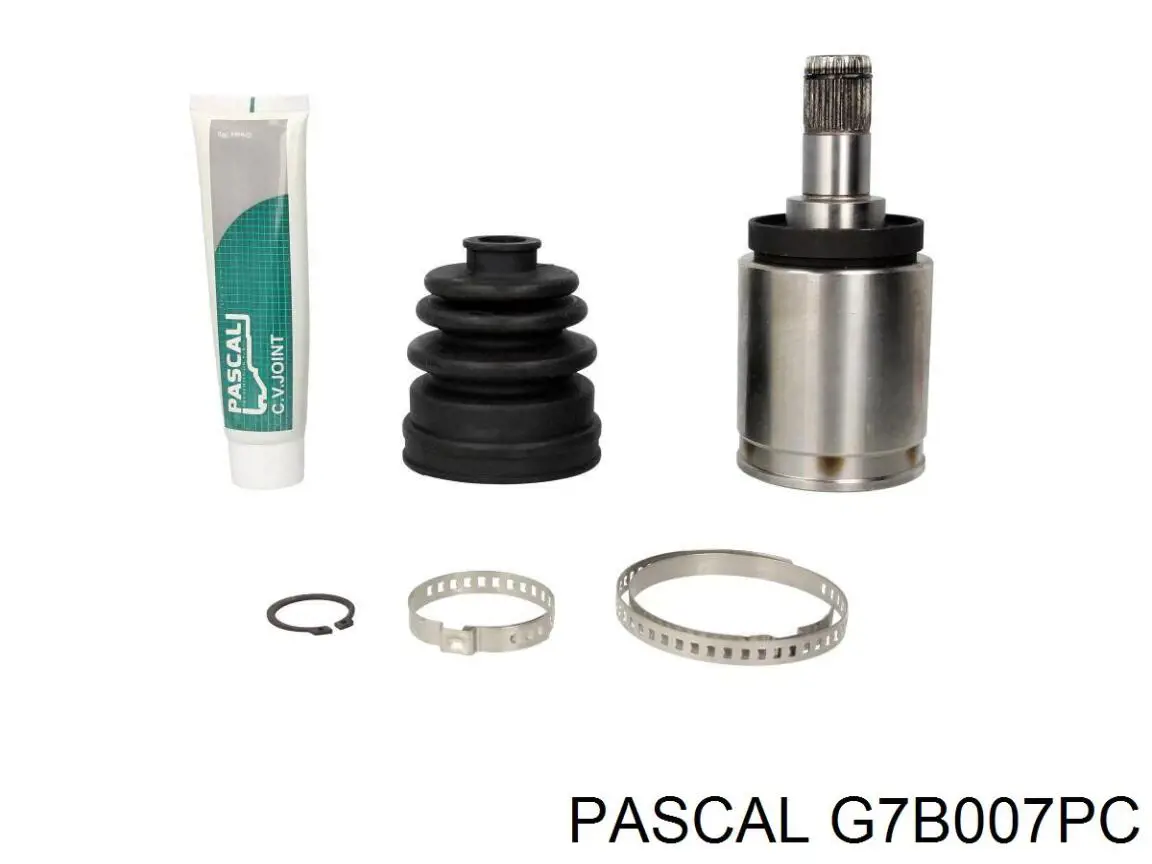  Pascal G7B007PC ціна, від 43.39 USD