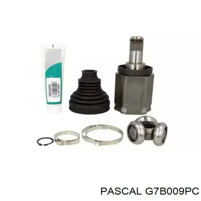 Купити G7B009PC Pascal 