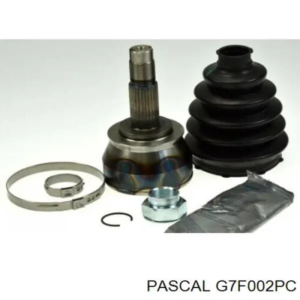 Купити G7F002PC Pascal ШРКШ внутрішній, задній