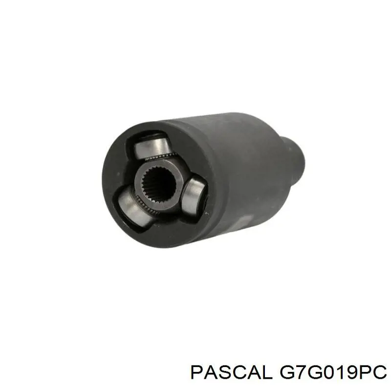 Купити G7G019PC Pascal Граната внутрішня, передня, ліва