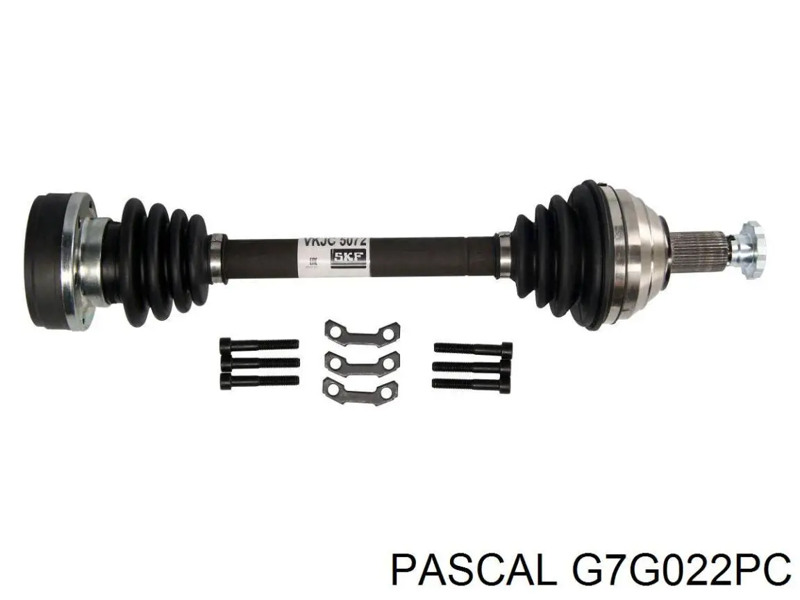  G7G022PC Pascal